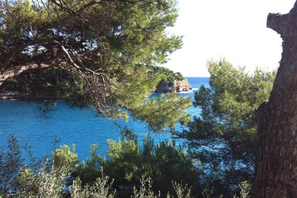 Apartment Sea Frontline 'ernesto'. Pool. Wifi Santanyi